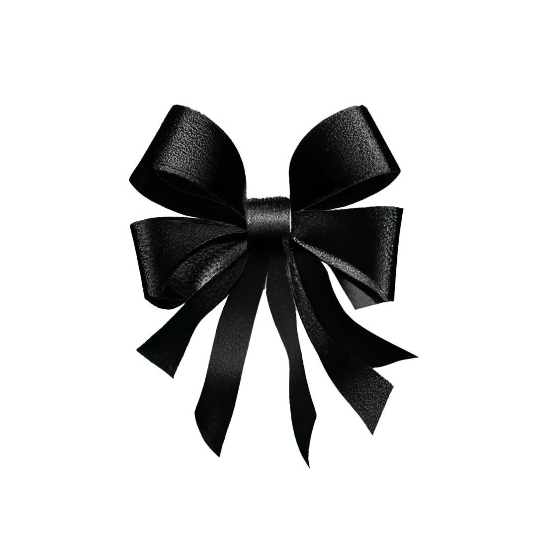 Classic Black Ribbon Bow Hair Clip